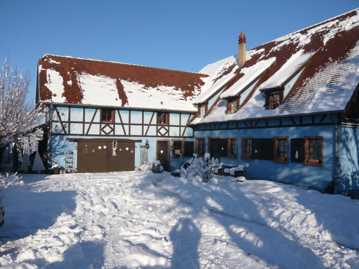 Le Gite Bleu Willgottheim Bagian luar foto