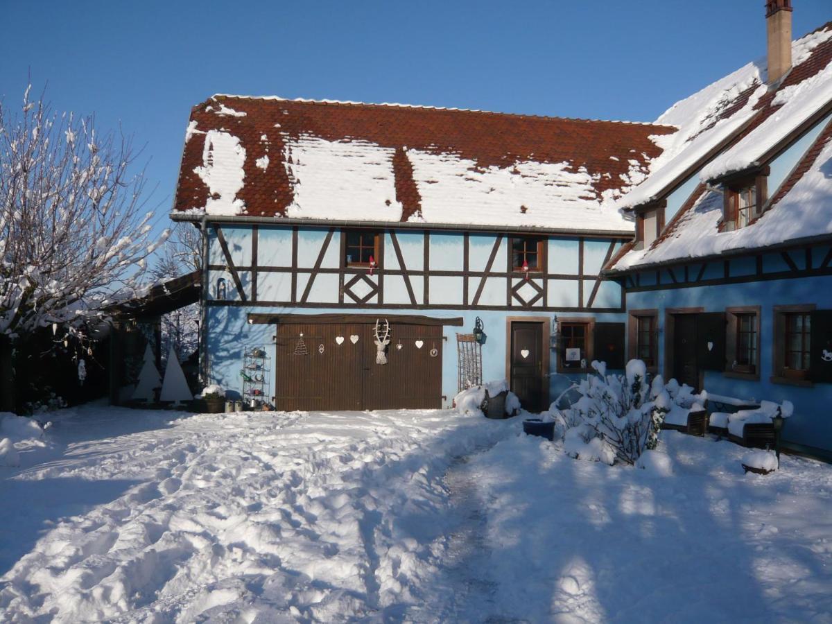 Le Gite Bleu Willgottheim Bagian luar foto