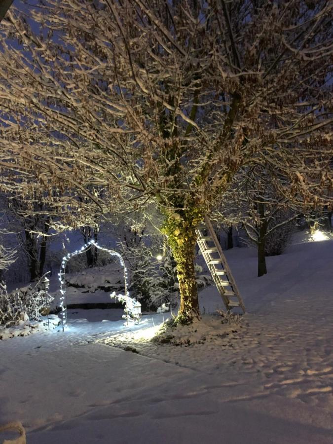 Le Gite Bleu Willgottheim Bagian luar foto